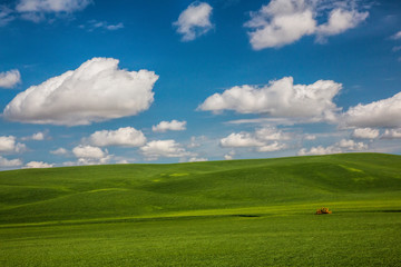 Sticker - USA, Washington State, Palouse, Spring Rolling Hills of Wheat and Fallow fields