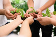 © New Africa - Group of volunteers holding soil with sprouts in hands outdoors, closeup