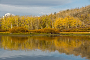 Canvas Print - Autumn, Oxbow, Grand Teton National Park, Wyoming, USA