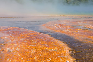 Sticker - WY, Yellowstone National Park, Midway Geyser Basin, Grand Prismatic Spring, colorful bacterial mats