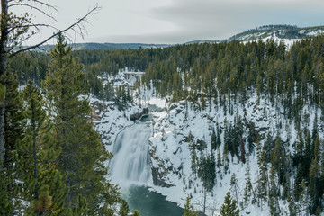 Wall Mural - USA, Wyoming, Yellowstone National Park, Upper Yellowstone Falls