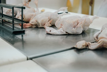 Chicken Processing In Factory. Poultry Production In Food Industry
