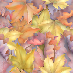 Sticker - Autumn leaves background