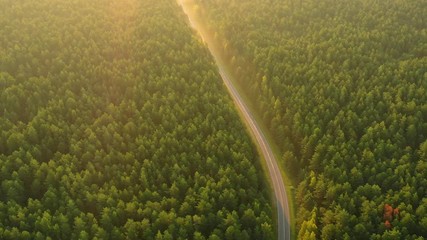 Wall Mural - Highway in forest aerial view