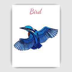 Wall Mural - Sketch hand drawn card with kingfisher. Animals illustration birds.