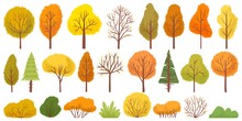 Yellow Autumn Trees. Colorful Garden Tree, Autumnal Garden Bush And Fall Season Tree Leaves. Forest Gold And Green Branches, Autumn Yellow And Orange Park Trees. Isolated Vector Illustration Icons Set