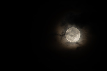 Wall Mural - Moon light behind cloud
