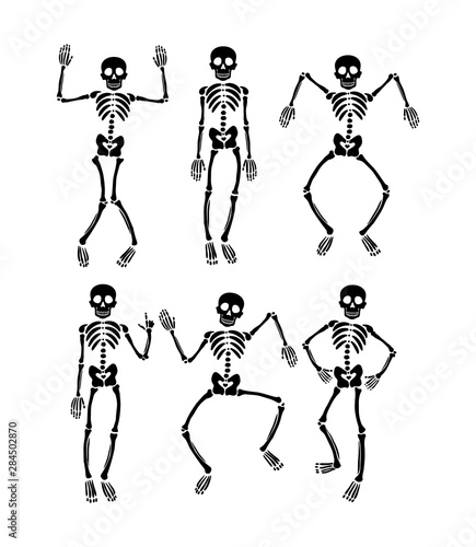 Cuadros en Lienzo Set of dancing skeletons