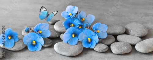 Fototapeta na wymiar Zen stones and violet flowers on grey background.