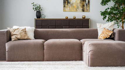 sofa in living room interior