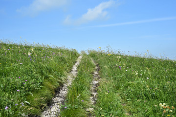 Lane in meadow and deep blue sky. Nature design. Very summer landscape. the road in rural areas. field on a background of the blue sky.