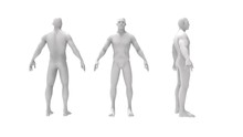 Human Body 3d Rendering Of A Human Body Isolated In White Background