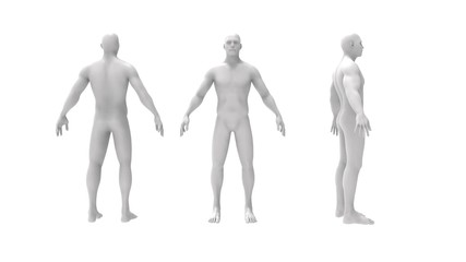 human body 3d rendering of a human body isolated in white background