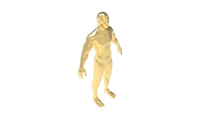 Wall Mural - Human body 3d rendering of a golden human body in white background