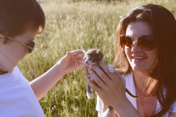 40 Years old mom and son playing with a little kitten. Mom giving a first pet to his son. Happy family play with a little kitty