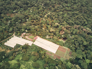 Sticker - Farm hangars around green jungle