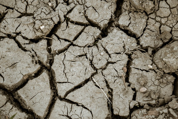 Barren cracked soil background at dry season