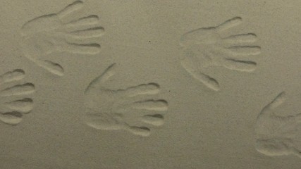 Wall Mural - Panorama, Imprints of human hands in the sand, lots of hand prints on the sand.