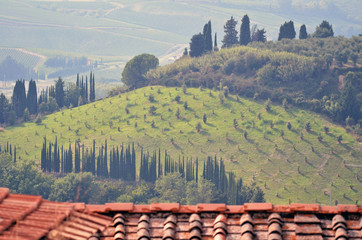 Wall Mural - tuscany landscape with house roofs