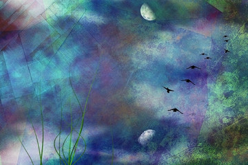 Wall Mural - Pond in Moon light