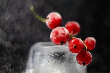 fruit, red, food, berry, currant, berries, grape, ripe, isolated, fresh, bunch, grapes, healthy, summer, nature, plant, white, branch, green, macro, sweet, garden, juicy, bush, cluster