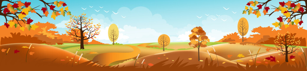 Panoramic of Countryside landscape in autumn, Vector illustration of horizontal banner of autumn landscape mountains and maple trees fallen with yellow foliage.