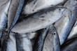 © Денис Махно - fresh fish on ice