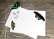 Two Blank White Sheets Of Paper, Three Large Butterflies And Purple Flowers On A Wooden Texture Background