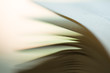 © Sensay - Macro view of book pages, green summer background, education and reading concept