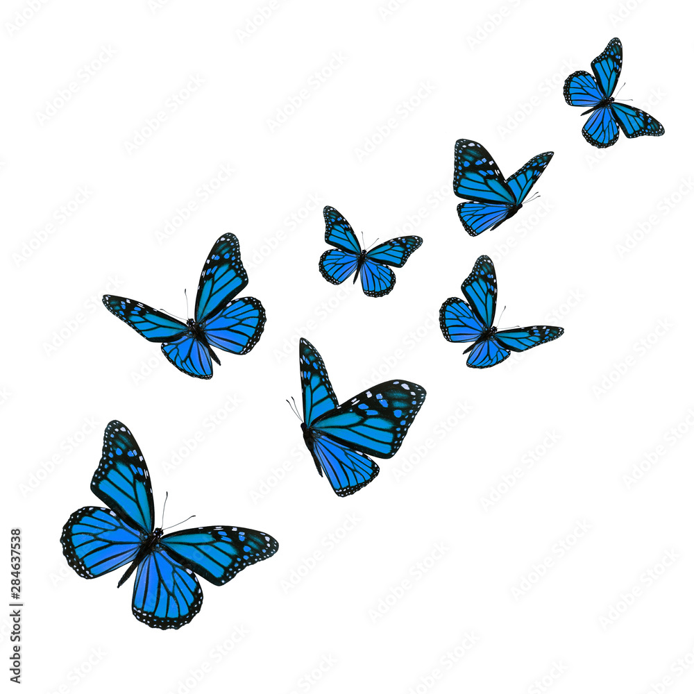 My Image 30