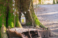 Door Into A Fairy House At The Fairy Trail, Slieve Gullion County Armagh, Northern Ireland