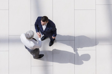 Business partners shaking hands