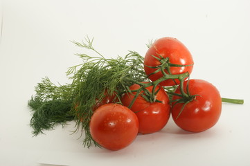 Fresh red tomatoes and green herbs isolated