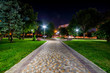 Beautiful city park walkway with lamps at night