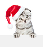 Fototapeta Koty - Tabby kitten in red christmas hat peeking above white banner and looking at camera. Empty space for text. isolated on white background