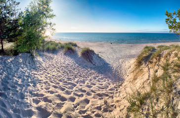 Wall Mural - Slowinski National Park on the Baltic Sea coast, near Leba, Poland. Beautiful sandy beach, dune vegetation and coastal landscape on the walking trail between Leba and Moving Dunes.