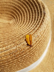 Wall Mural - A yellow leaf fallen from a tree lies on a straw hat. Autumn concept, accessories.