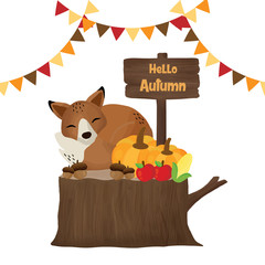 Wall Mural - Hello Autumn cute fox on the wood log.