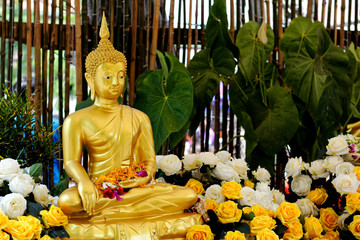 golden buddha statue for pour watering on songkran day