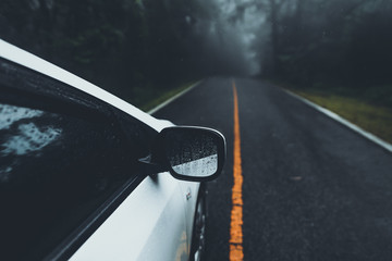 Canvas Print - The road into the forest in the rainy season