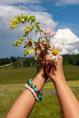 Female hands with multi-colored homemade bracelets hold daisies against the background of the field and the sky with clouds on a sunny day. On the field of blurry flowers. Selective focus.