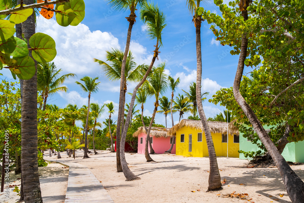 Colorful houses on Catalina beach, dominican republic with palm trees - obrazy, fototapety, plakaty 