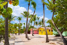 Colorful Houses On Catalina Beach, Dominican Republic With Palm Trees