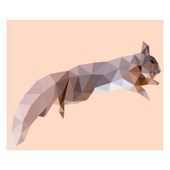 Wall Mural - Low poly illustration of squirrel