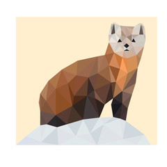 Wall Mural - Colorful polygonal style design of marten