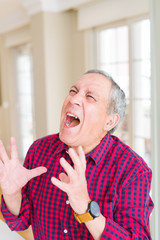 Wall Mural - Close up of handsome senior man at home crazy and mad shouting and yelling with aggressive expression and arms raised. Frustration concept.