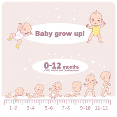 Wall Mural - baby growth from newborn to toddler scale with months.