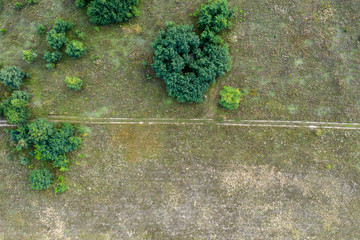 Wall Mural - wild field, view from above