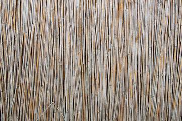  Wooden fence. Background texture of the reed fence.