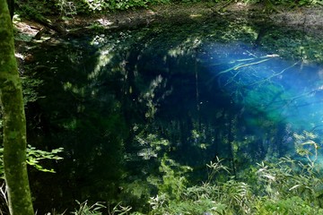 Naklejka na meble 《十二湖の青池》青森県深浦町